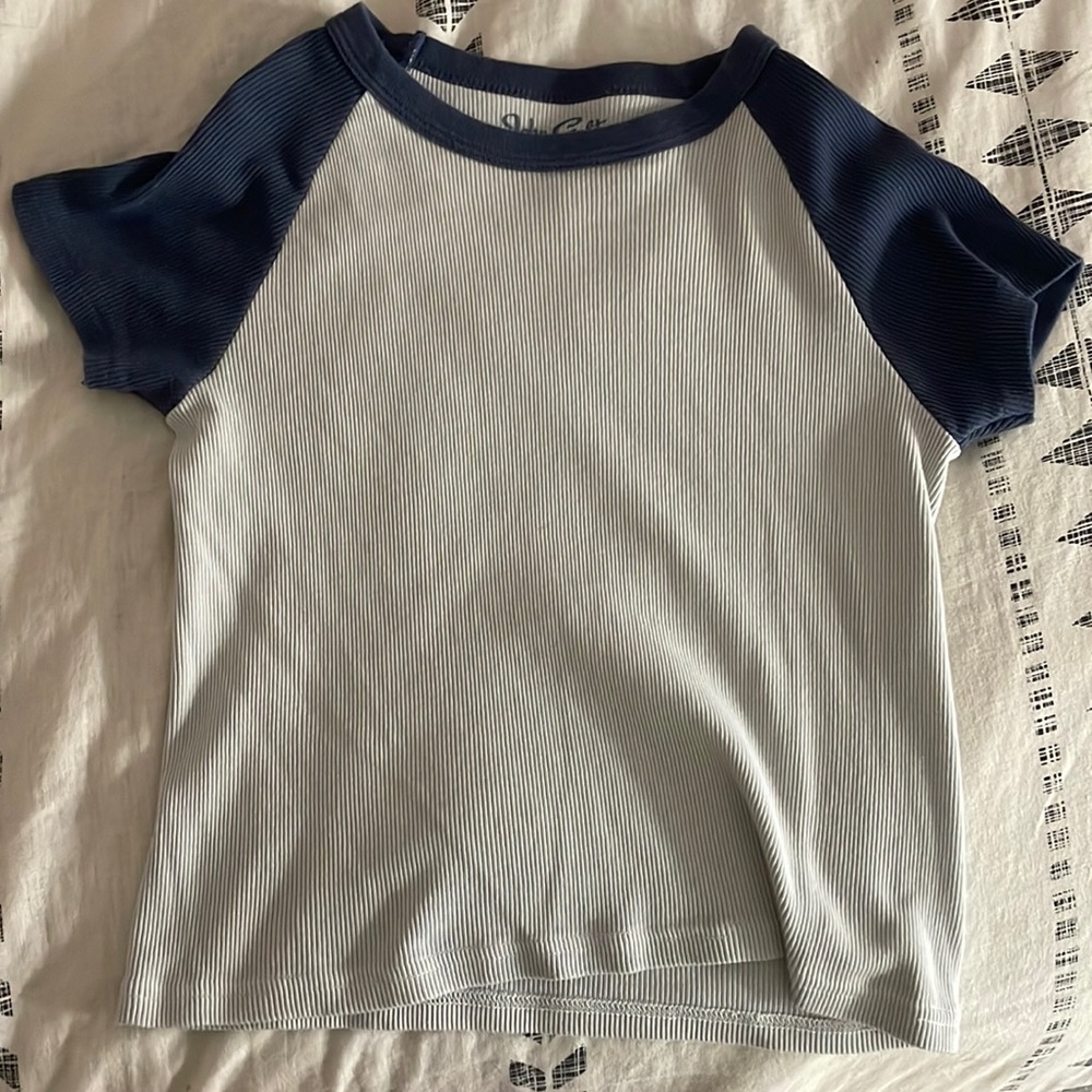 John galt (brandy melville) cropped shirt.